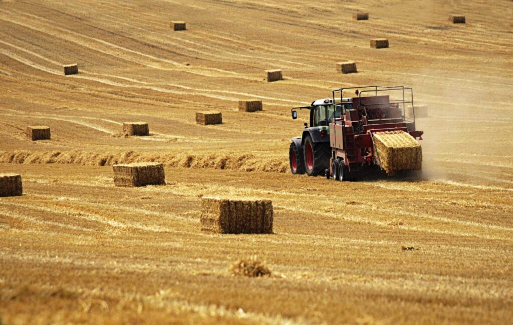 Segmentation of the agricultural market using marketing personas