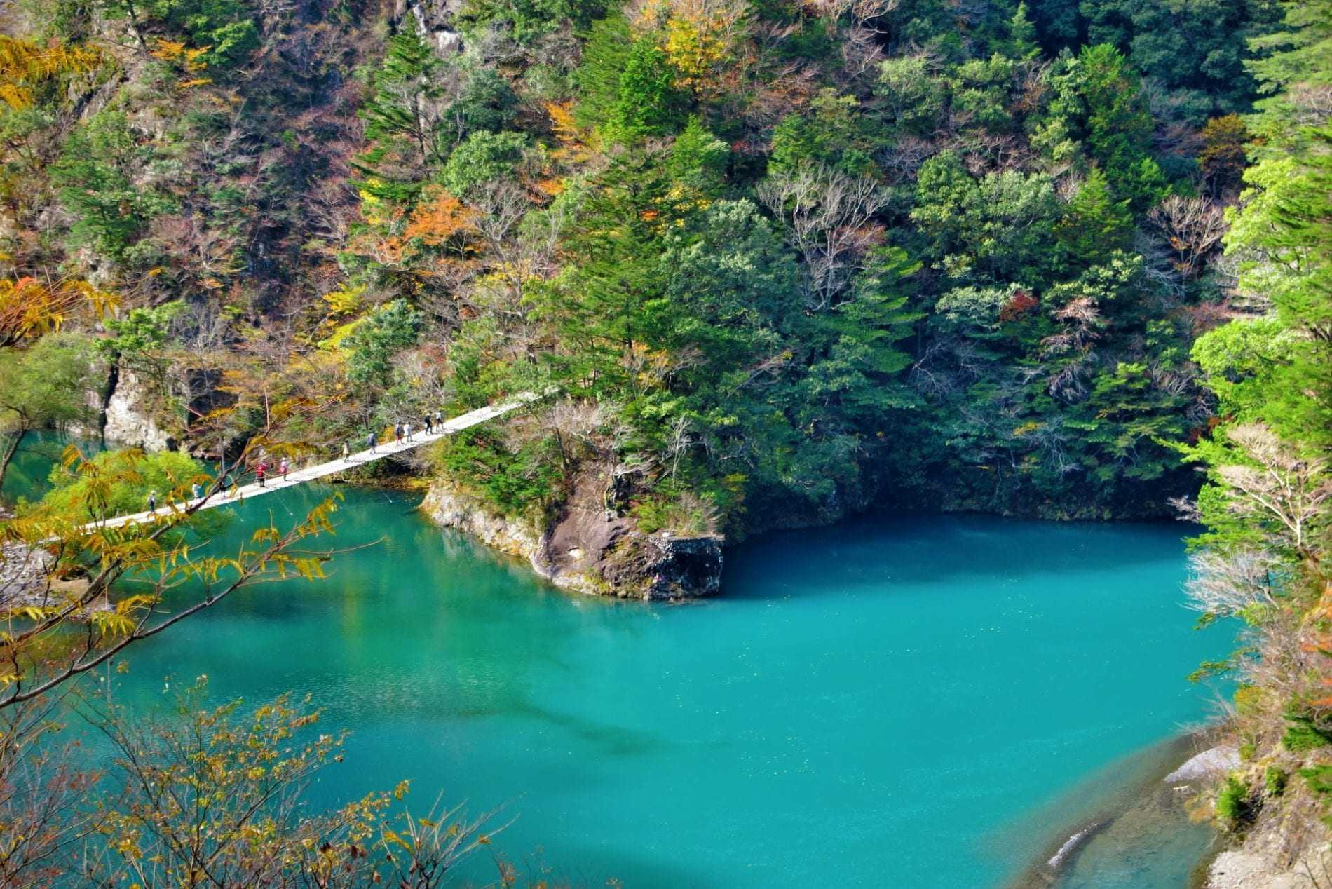 tourism market research